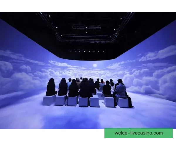 伟德体育直播引领全新赛事观看体验打造沉浸式互动娱乐平台