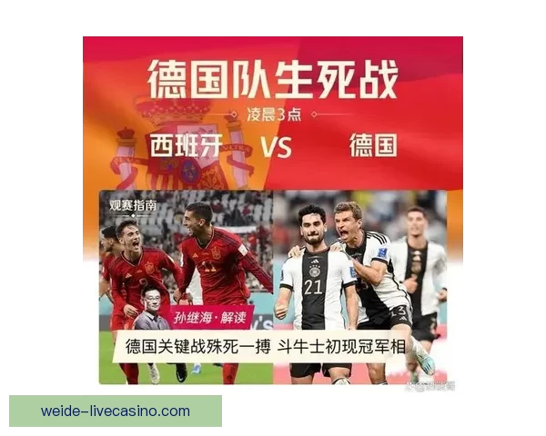 世界杯赛场前瞻专家深度解析热门球队胜负走势